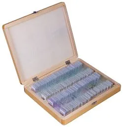 a képen:  Bresser előkészített tárgylemez készlet 100 darabos, tokkal