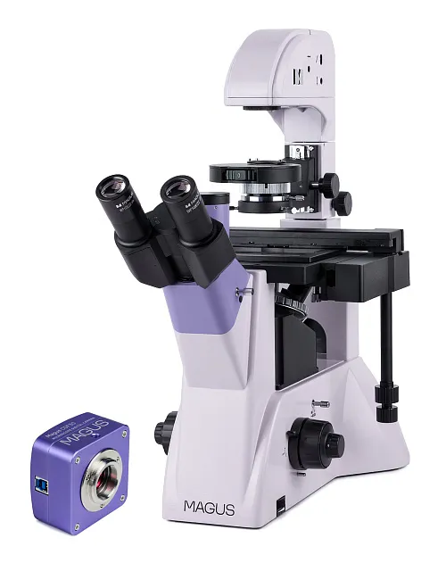 a fotón:  MAGUS Bio VD350 biológiai fordított digitális mikroszkóp