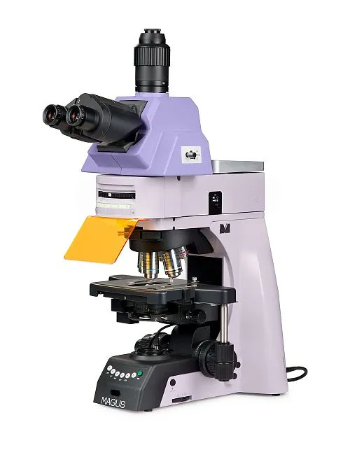 a fotón:  MAGUS Lum 490L fluoreszcens mikroszkóp,  1