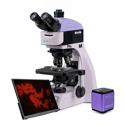 a fotón:  MAGUS Lum D460L LCD fluoreszcens digitális mikroszkóp,  1