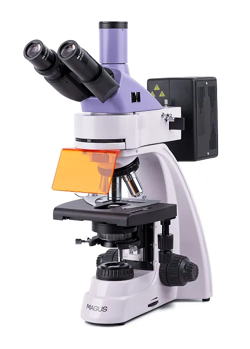 a fotón:  MAGUS Lum 400 fluoreszcens mikroszkóp