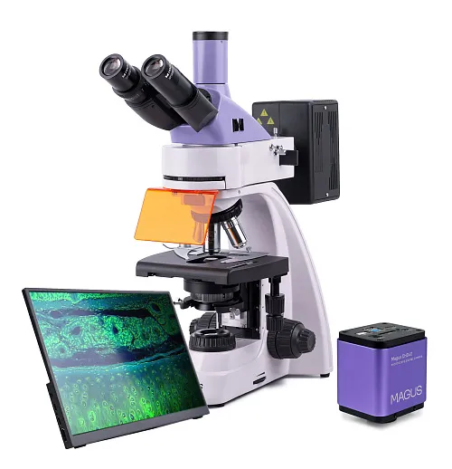a fényképen:  MAGUS Lum D400 LCD fluoreszcens digitális mikroszkóp