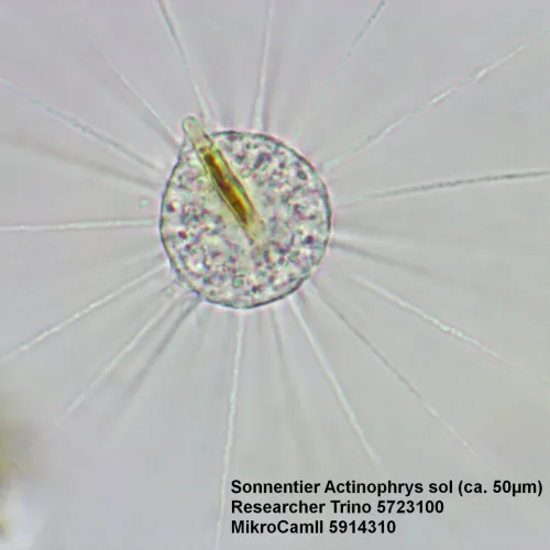 a fotón:  Bresser Researcher Trino 40–1000x mikroszkóp,  15