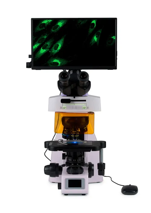 a fotón:  MAGUS Lum D450L LCD fluoreszcens digitális mikroszkóp,  8