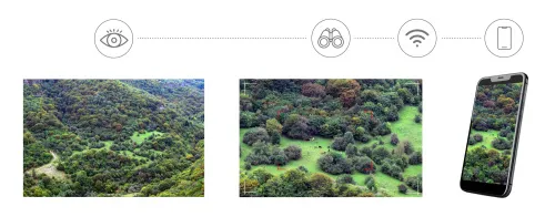 a fotón:  Levenhuk Kelvin Snap ED 8x42 digitális kétszemes fotótávcső,  7