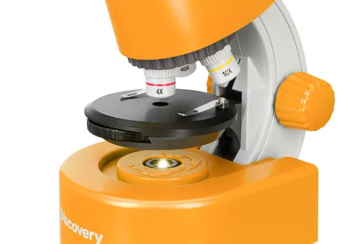 a fényképen:  Levenhuk Discovery Micro mikroszkóp és könyv,  13