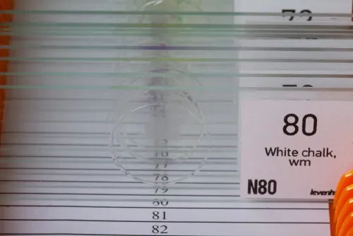 a fényképen:  Levenhuk N80 NG „Láss mindent!” tárgylemezkészlet,  4