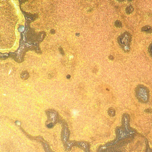 a képen:  MAGUS Metal V790 DIC metallográfiai fordított mikroszkóp,  21