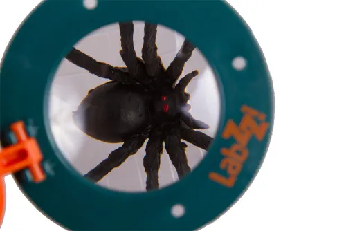 a fényképen:  Levenhuk LabZZ C1 rovarmegfigyelő doboz,  7