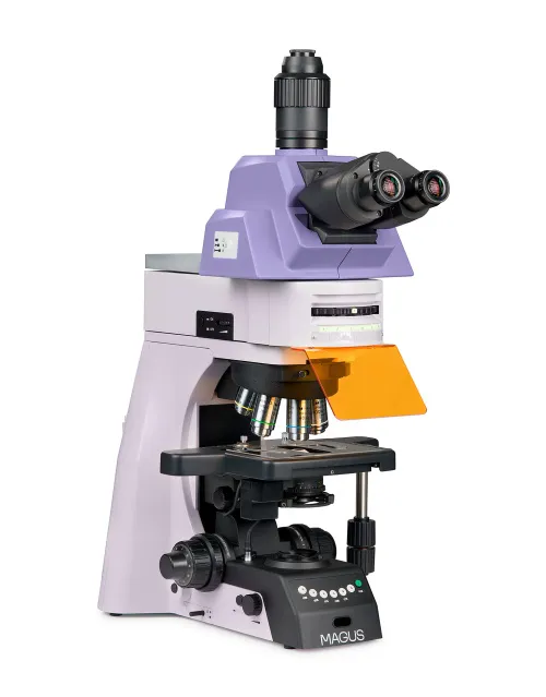 a fotón:  MAGUS Lum 490L fluoreszcens mikroszkóp,  2