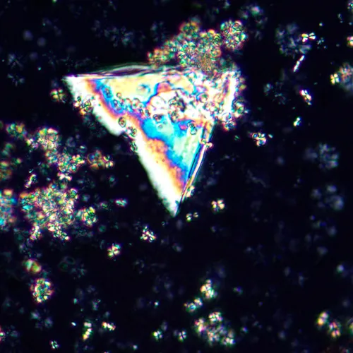 a képen:  MAGUS Pol 850 polarizáló mikroszkóp,  21