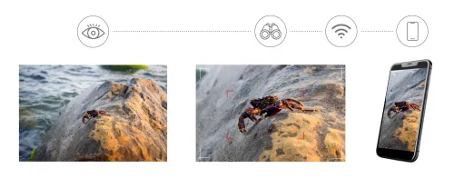 a fotón:  Levenhuk Kelvin Snap ED 8x42 digitális egyszemes fotótávcső,  6