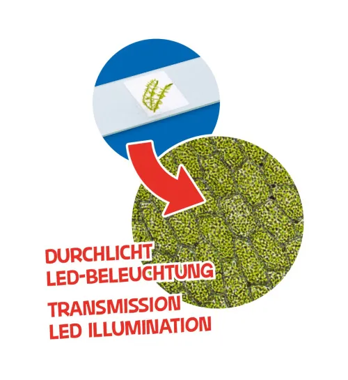 a fényképen:  Bresser Junior mikroszkóp és teleszkóp készlet,  7