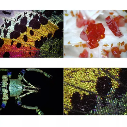 a fotón:  Bresser digitális USB-mikroszkóp DST1028 ,  4