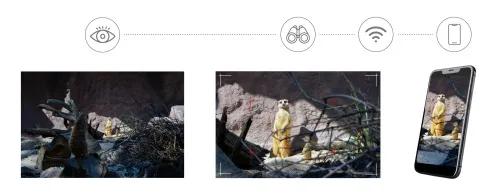 a fotón:  Levenhuk Kelvin Snap ED 8x42 digitális egyszemes fotótávcső,  5