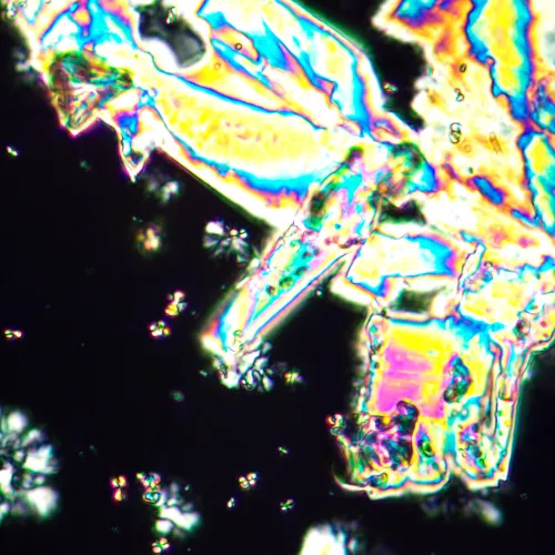 a képen:  MAGUS Pol 890 polarizáló mikroszkóp,  25
