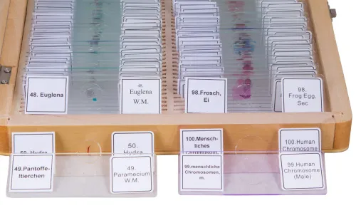 a képen:  Bresser előkészített tárgylemez készlet 100 darabos, tokkal,  4