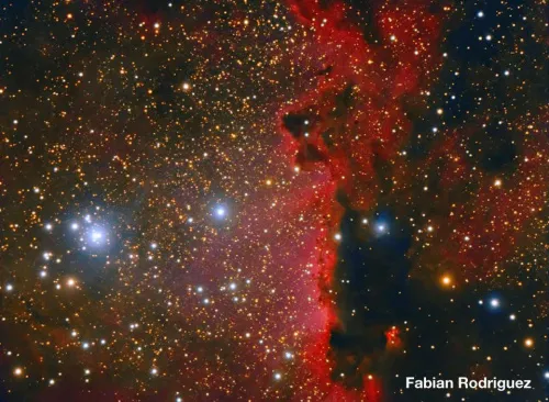 a fényképen:  Meade 12"-os, F/8-as továbbfejlesztett kómahibamentes optikai tubusszerelvény,  10