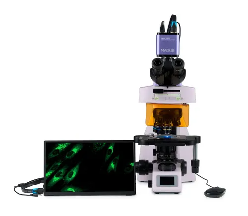 a fotón:  MAGUS Lum D450L LCD fluoreszcens digitális mikroszkóp,  9