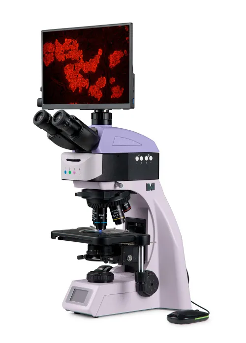 a fotón:  MAGUS Lum D460L LCD fluoreszcens digitális mikroszkóp,  2