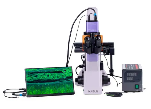 a fotón:  MAGUS Lum VD500 LCD fluoreszcens fordított digitális mikroszkóp,  6