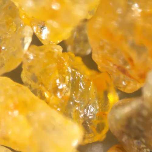 a fotón:  MAGUS Stereo A18T sztereomikroszkóp,  7