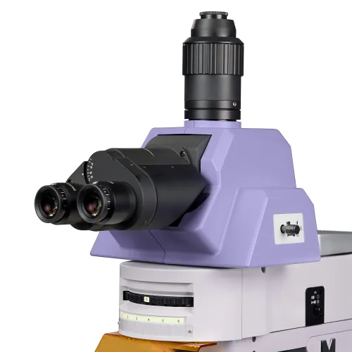 a fotón:  MAGUS Lum 490L fluoreszcens mikroszkóp,  9