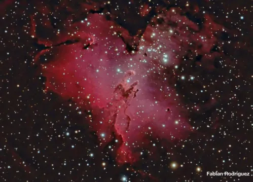 a fényképen:  Meade 12"-os, F/8-as továbbfejlesztett kómahibamentes optikai tubusszerelvény,  6