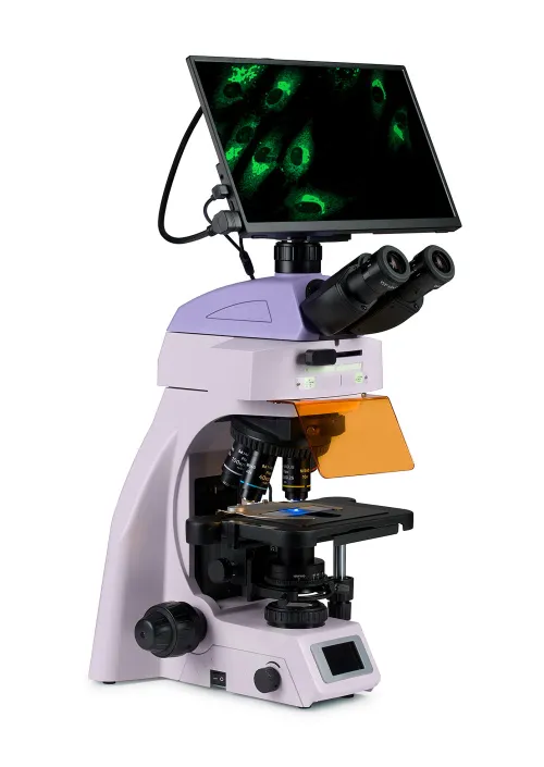 a fotón:  MAGUS Lum D450L LCD fluoreszcens digitális mikroszkóp,  3