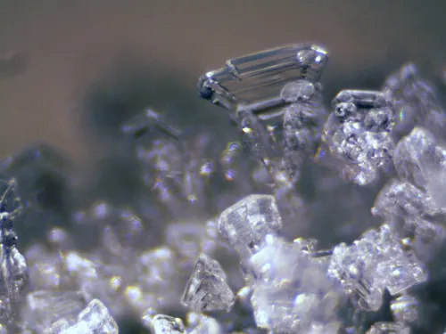 a képen:  Bresser Erudit ICD sztereomikroszkóp,  12