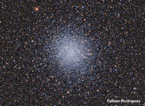 a fényképen:  Meade 12"-os, F/8-as továbbfejlesztett kómahibamentes optikai tubusszerelvény,  9