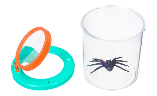 a fotón:  Levenhuk Discovery Basics CN5 bogártartó üveg,  2