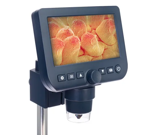 a képen:  Levenhuk Discovery Artisan 64 digitális mikroszkóp,  5