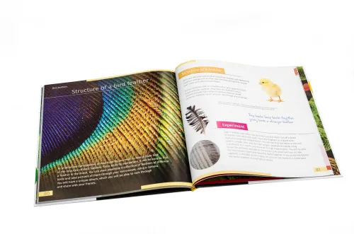 a képen:  Láthatatlan világ. Ismeretterjesztő könyv. Keményfedeles,  10