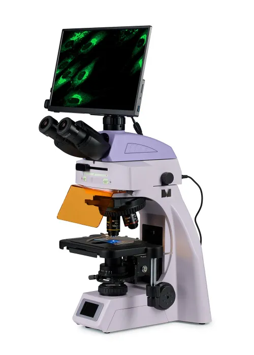 a fotón:  MAGUS Lum D450L LCD fluoreszcens digitális mikroszkóp,  2