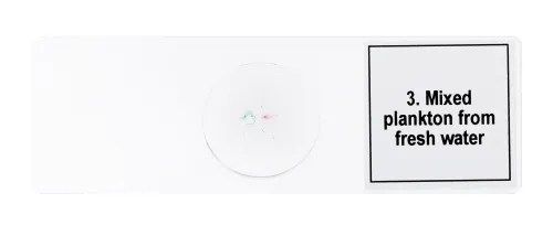a képen:  Levenhuk Discovery Prof DPS 5 mikropreparátum mintakészlet. „Élet egy csepp vízben”,  7
