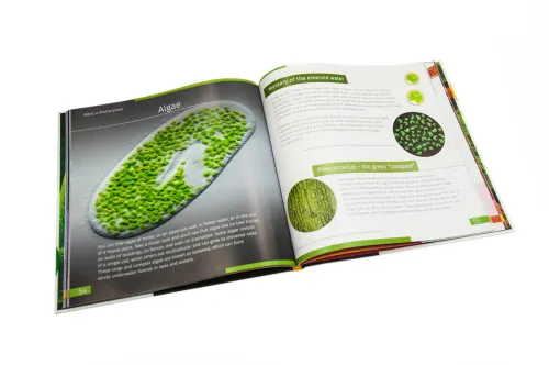 a képen:  Láthatatlan világ. Ismeretterjesztő könyv. Keményfedeles,  9