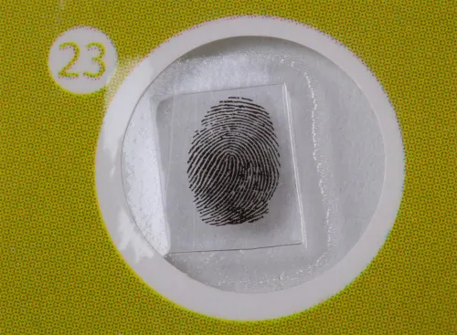 a fotón:  Levenhuk LabZZ P12 Növények – előkészített tárgylemez-készlet,  7