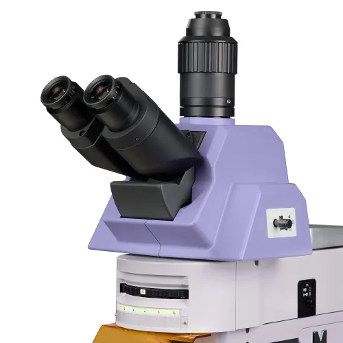 a fotón:  MAGUS Lum 490L fluoreszcens mikroszkóp,  10