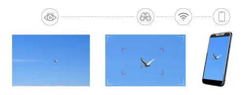 a fotón:  Levenhuk Kelvin Snap ED 8x42 digitális egyszemes fotótávcső,  4