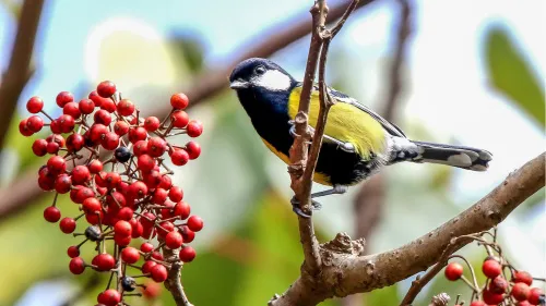 a képen:  Levenhuk Kelvin MAK127 AZ GOTO Wi‑Fi fotóteleszkóp,  13