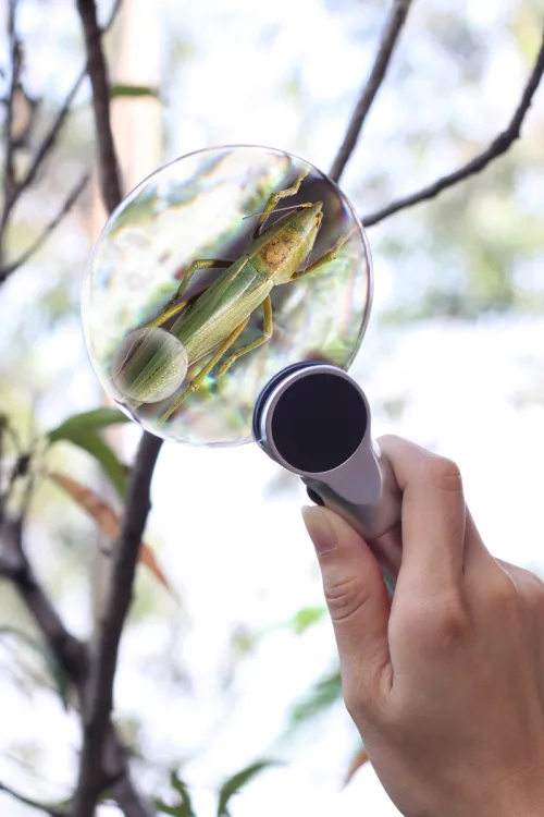 a képen:  Levenhuk Zeno 400 LED-es nagyító, 2/4x, 88/21 mm, fém,  9