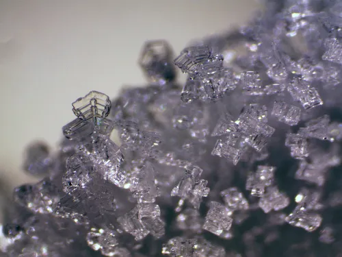 a képen:  Bresser Erudit ICD sztereomikroszkóp,  11