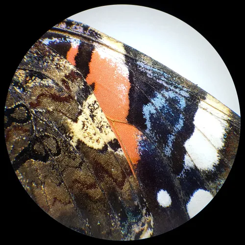 a képen:  Bresser Analyth STR 10x - 40x sztereomikroszkóp,  6