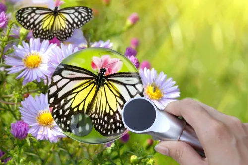 a képen:  Levenhuk Zeno 400 LED-es nagyító, 2/4x, 88/21 mm, fém,  7