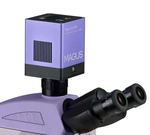 a fotón:  MAGUS Lum D450L fluoreszcens digitális mikroszkóp,  21