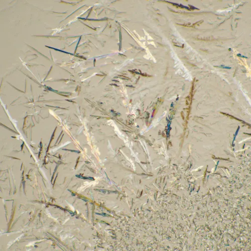 a képen:  MAGUS Bio 230B biológiai mikroszkóp,  23