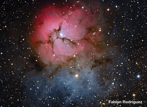 a fényképen:  Meade 12"-os, F/8-as továbbfejlesztett kómahibamentes optikai tubusszerelvény,  5