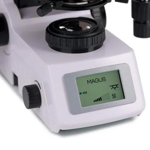 a fotón:  MAGUS Lum D450L fluoreszcens digitális mikroszkóp,  17