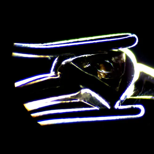 a fotón:  MAGUS Stereo D7T LCD PLUS digitális sztereomikroszkóp,  25